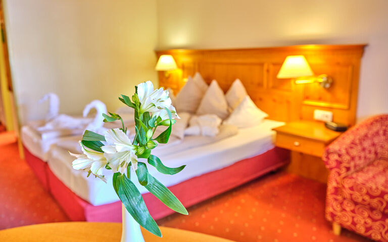 Zimmer, Appartements & Angebote